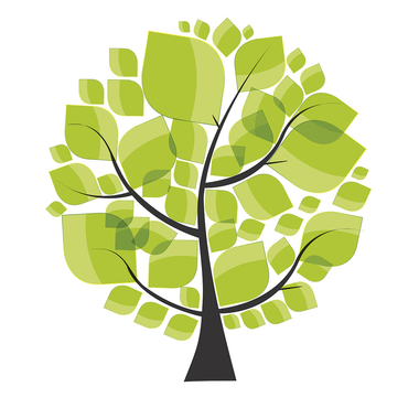 IP Consulting, cabinet expertise comptable près de Torcy