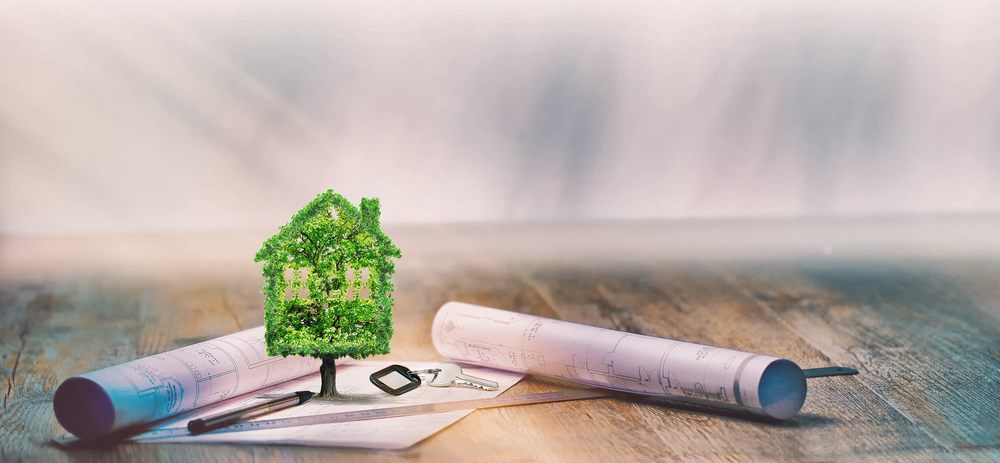 expertise comptable Saint Thibault des Vignes