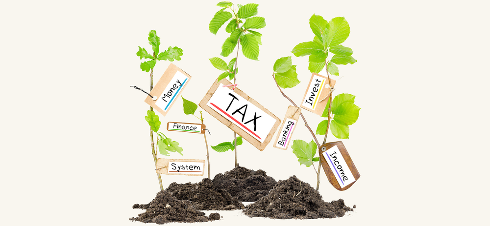 Comptabilité et fiscalité Torcy